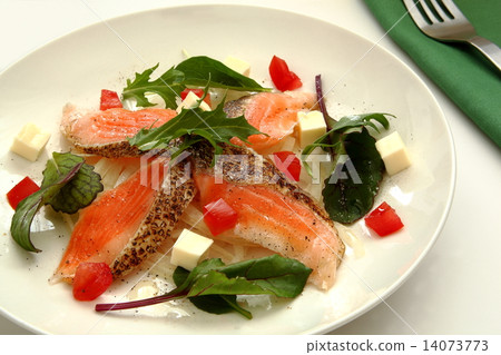 Carpaccio三文魚開胃菜 14073773