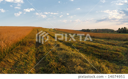 Rural landscape Rural landscape 14074951