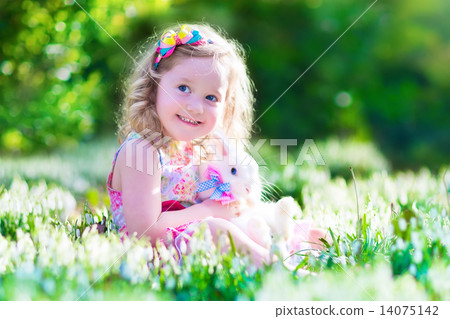 Little girl playing with a rabbit 14075142