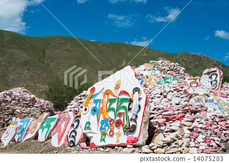 China · Qinghai Province Tamaki Janamani Manizuka 14075283