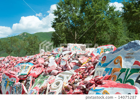 China · Qinghai Province Tamaki Janamani Manizuka 14075287