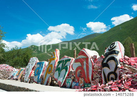 China · Qinghai Province Tamaki Janamani Manizuka 14075288