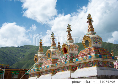 中國·青海省Tamaki Janamani Cholten 14075296