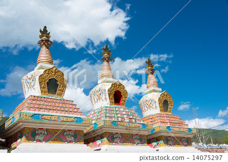 中國·青海省Tamaki Janamani Cholten 14075297