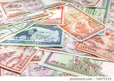 Money from Nepal, various Rupee banknotes. 14075529