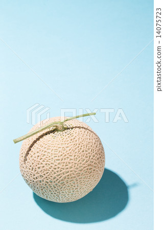 melon melon 14075723