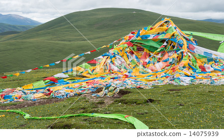 Rikuto Talcho, Sichuan Province, China 14075939