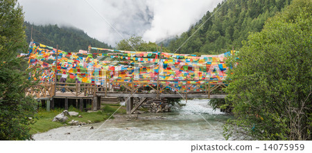 Talcho on the bridge of Inagi Kochi Nature Reserve, Sichuan Province, China 14075959