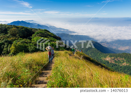 Fog over the mountain and tourist, Doi Inthanon national park th 14076013