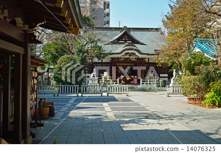 Walking in Asakusa: Torigoe Shrine 14076325