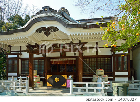 在淺草散步：Torigoe Shrine 14076327