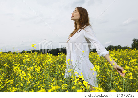 brunette woman in a yellow flowers field brunette woman in a yellow flowers field 14079753