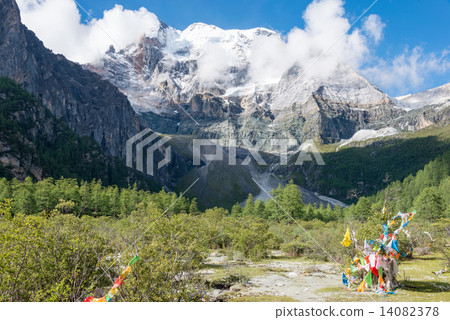 China · Sichuan Province Inagi Koen Nature Reserve Chen Racei 14082378