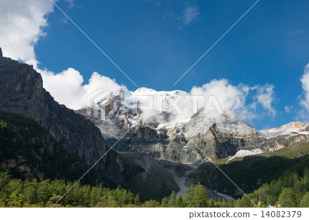 China · Sichuan Province Inagi Koen Nature Reserve Chen Racei 14082379