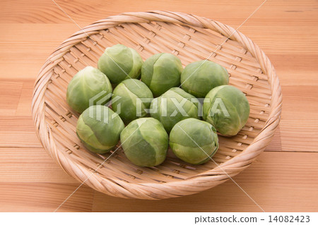 球芽甘藍 14082423