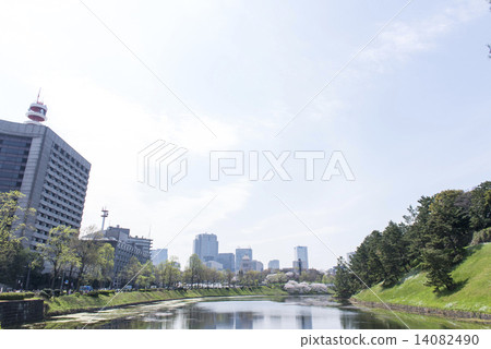 盛開 櫻花 櫻 14082490