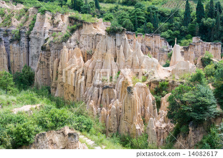 China · Sichuan Province Xichang Huang Lianxin Forest China · Sichuan Province Xichang Huang Lianxin Forest 14082617