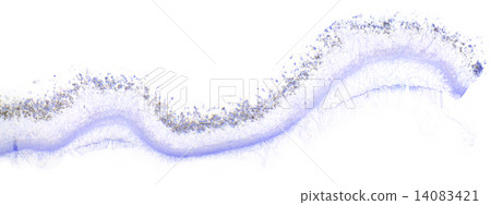 Penicillin under the microscope, (Penicillium W.M) 14083421