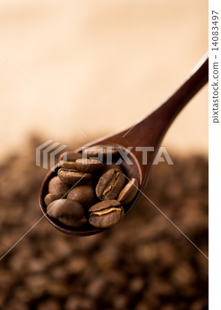 Coffee beans 14083497