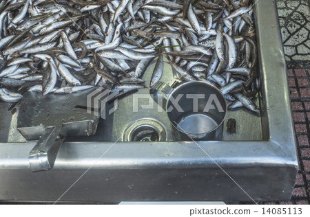 Fish on ice in the market Fish on ice in the market 14085113