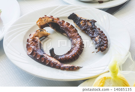 Octopus in a Greek restaurant Octopus in a Greek restaurant 14085135
