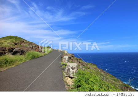 Hiking trail of Cape Makapuu, Oahu 14085153
