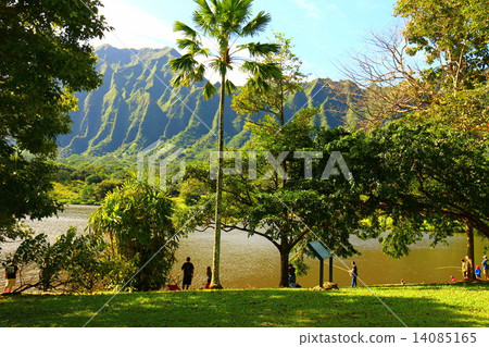 Holidays in Oahu Houmaruhia Botanical Gardens 14085165