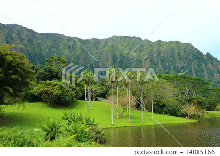 Spectacular view of the Oman himalomia harbor garden 14085166