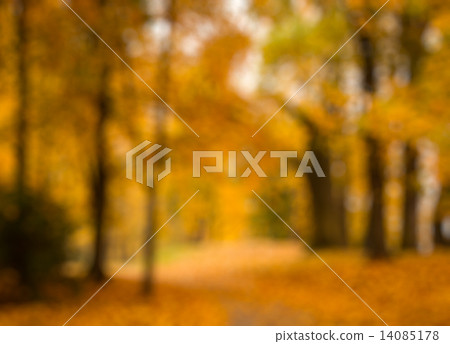 Defocused blurred autum background 14085178