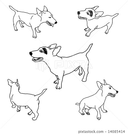 Set of adorable jack russell 14085414