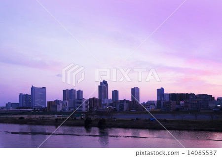 Musashi Kosugi夜景 14085537