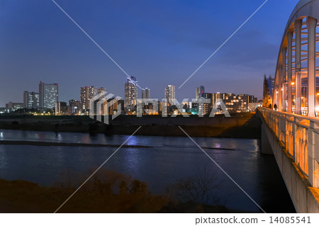 Musashi Kosugi夜景 14085541