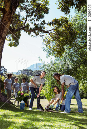 Team of volunteers gardening together Team of volunteers gardening together 14086603