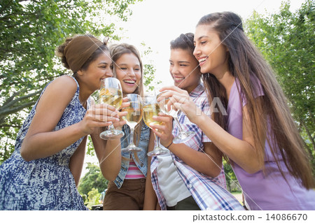 Happy friends in the park having wine 14086670