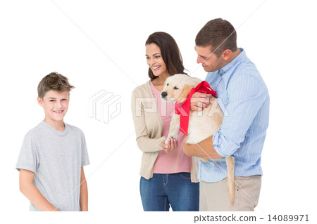 Parents gifting puppy to boy against white background 14089971