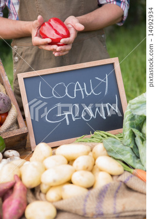 Farmer selling organic veg at market Farmer selling organic veg at market 14092934