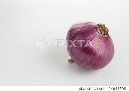 Picture of a vegetable purple onion simple white back 14093598