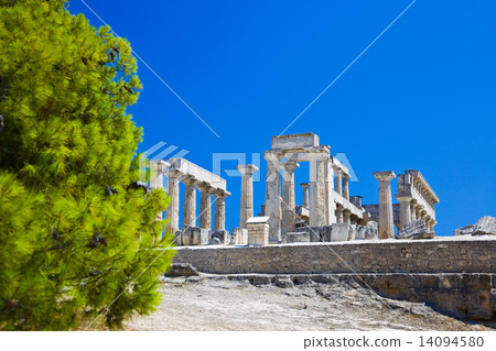 Ruins of temple on island Aegina, Greece 14094580