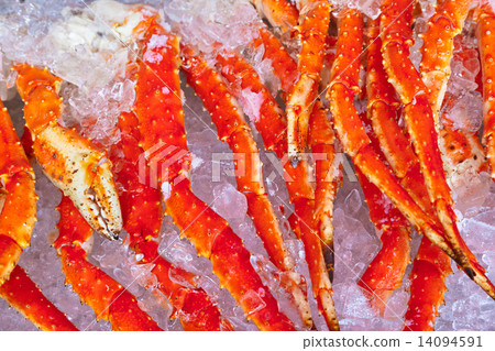 Fresh seafood background Fresh seafood background 14094591