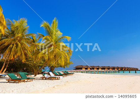 Tropical beach at Maldives 14095605