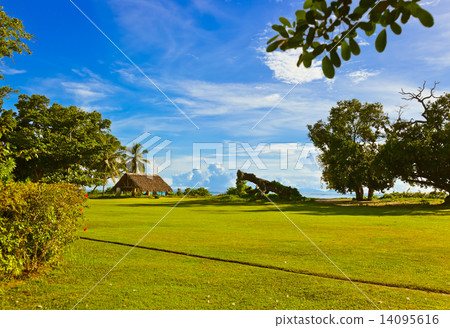 Canopy and tree at tropical beach 14095616