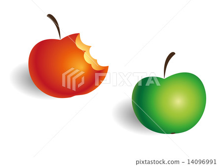 Two bright fresh apples red green 14096991