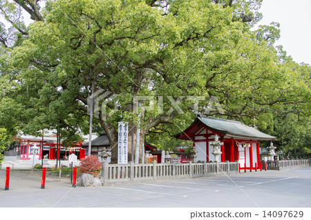大分春日神社 大分春日神社 14097629