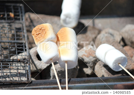 Grilled marshmallows Grilled marshmallows 14098585