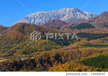 Oyama and autumn leaves from the Kishida Oyama and autumn leaves from the Kishida 14098597