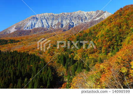 Mountains of autumnal leaves from the key ring 14098599