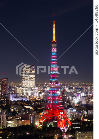 東京塔聖誕燈飾鑽石面紗 14099266