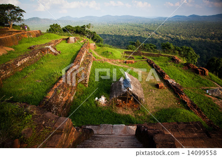 Sigiriya Lion Rock Fortress in Sri Lanka 14099558
