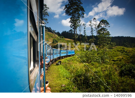 train from Nuwara Eliya to Kandy among tea plantations in the hi train from Nuwara Eliya to Kandy among tea plantations in the hi 14099596