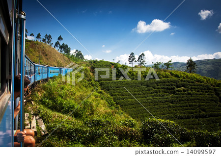 train from Nuwara Eliya to Kandy among tea plantations in the hi 14099597